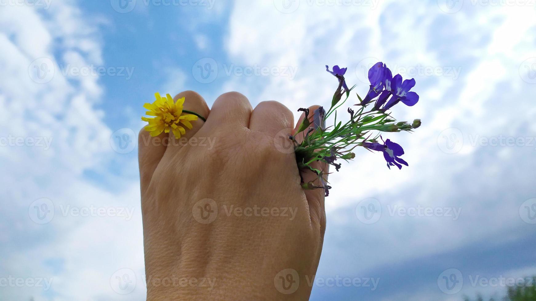 um anel em uma mão feito de flores. uma oferta de casamento. foto