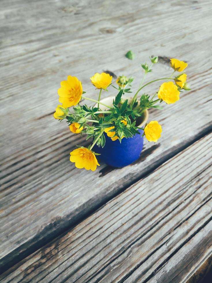 flores silvestres frescas amarelas em vaso de cerâmica azul, no fundo da varanda de madeira. natureza morta em estilo rústico. vista de perto. primavera ou verão no jardim, conceito de estilo de vida do campo. copie o espaço foto