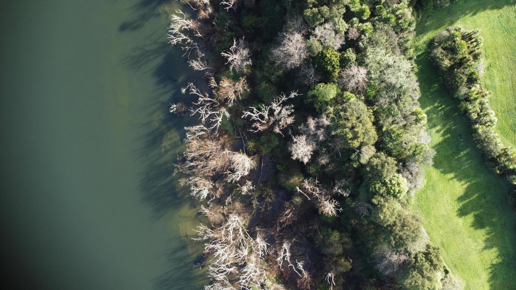 rio em hamilton, nova zelândia foto