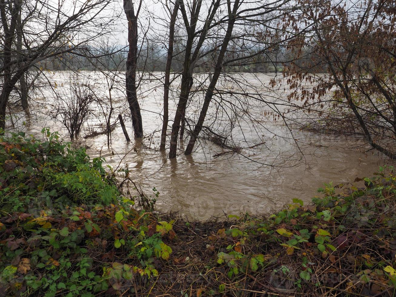 inundação do rio po em turin foto