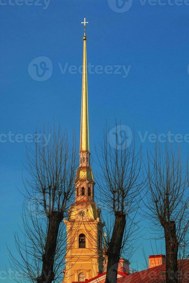 dourado pináculo do a Peter e Paulo catedral dentro st. petersburgo. árvore roupa de baixo, vertical visualizar. cenário do a alta torre do a santos Peter e Paulo catedral. foto