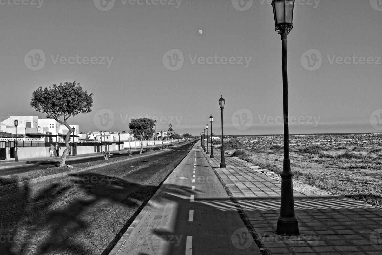 Largo asfalto estrada em a espanhol canário ilha fuerteventura com Palma árvores foto