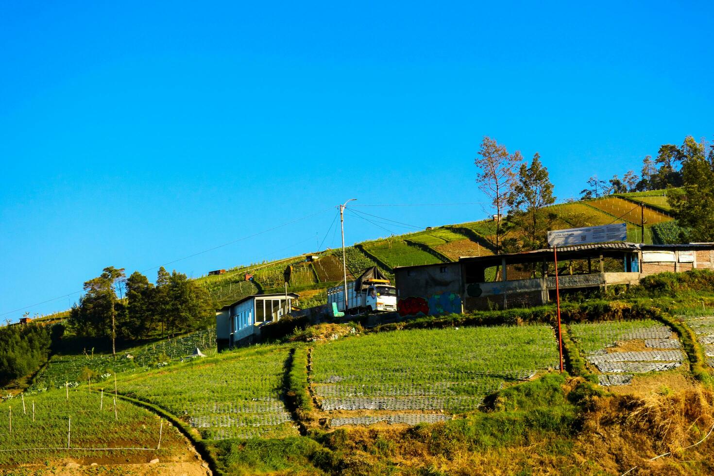 arroz Campos dentro a montanhas com uma terasir sistema foto