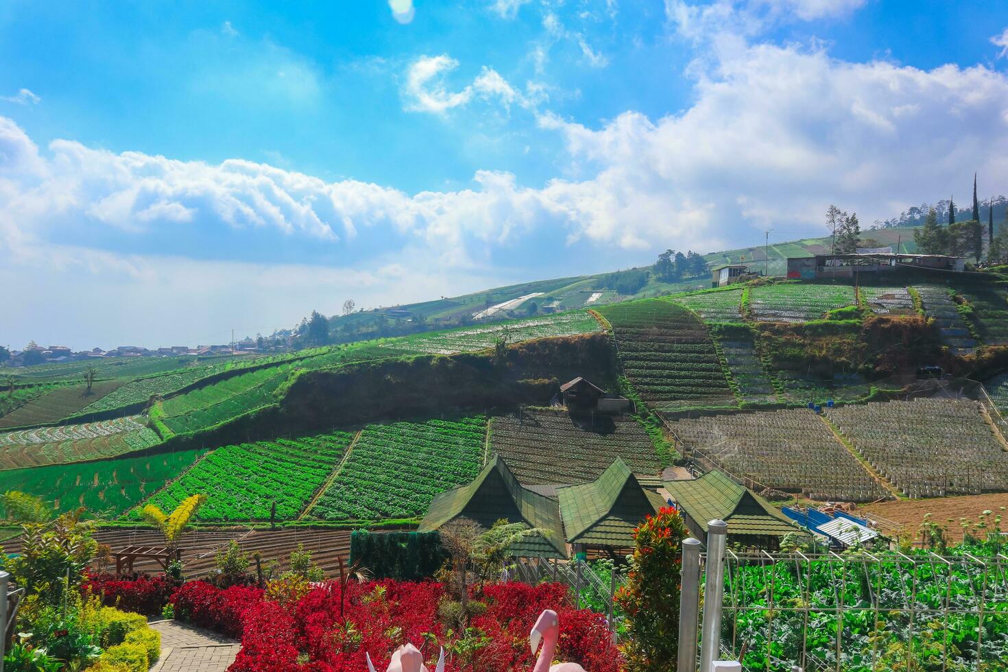 arroz Campos dentro a montanhas com uma terasir sistema foto