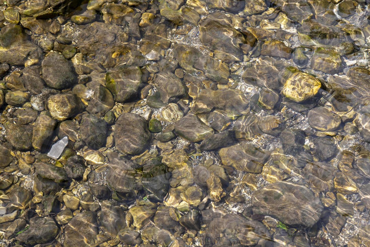 seixos cinzentos na praia do mar com ervas marinhas secas e depósitos de algas foto