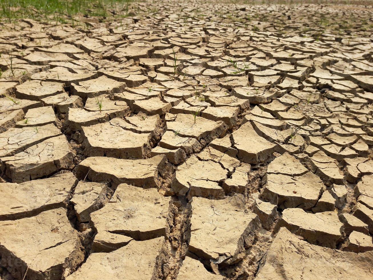 textura de terra rachada foto