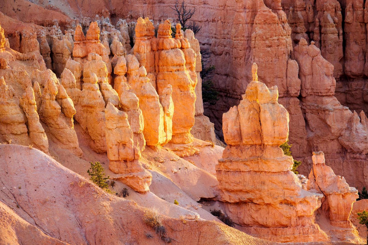 pilares no parque nacional do desfiladeiro de bryce, utah, eua. foto