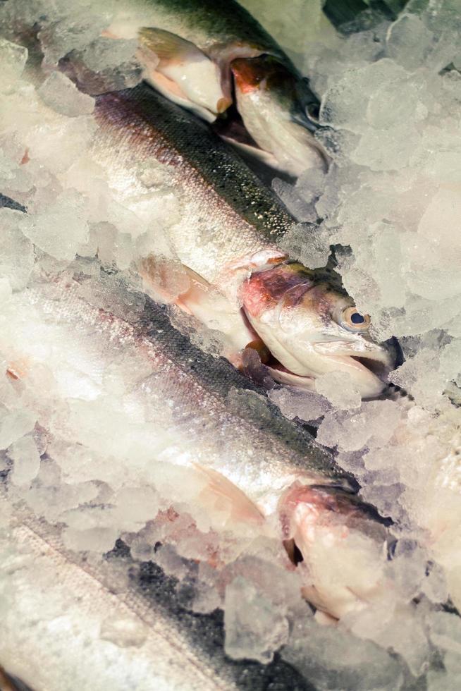 fechou de peixes congelados em uma pilha. foto