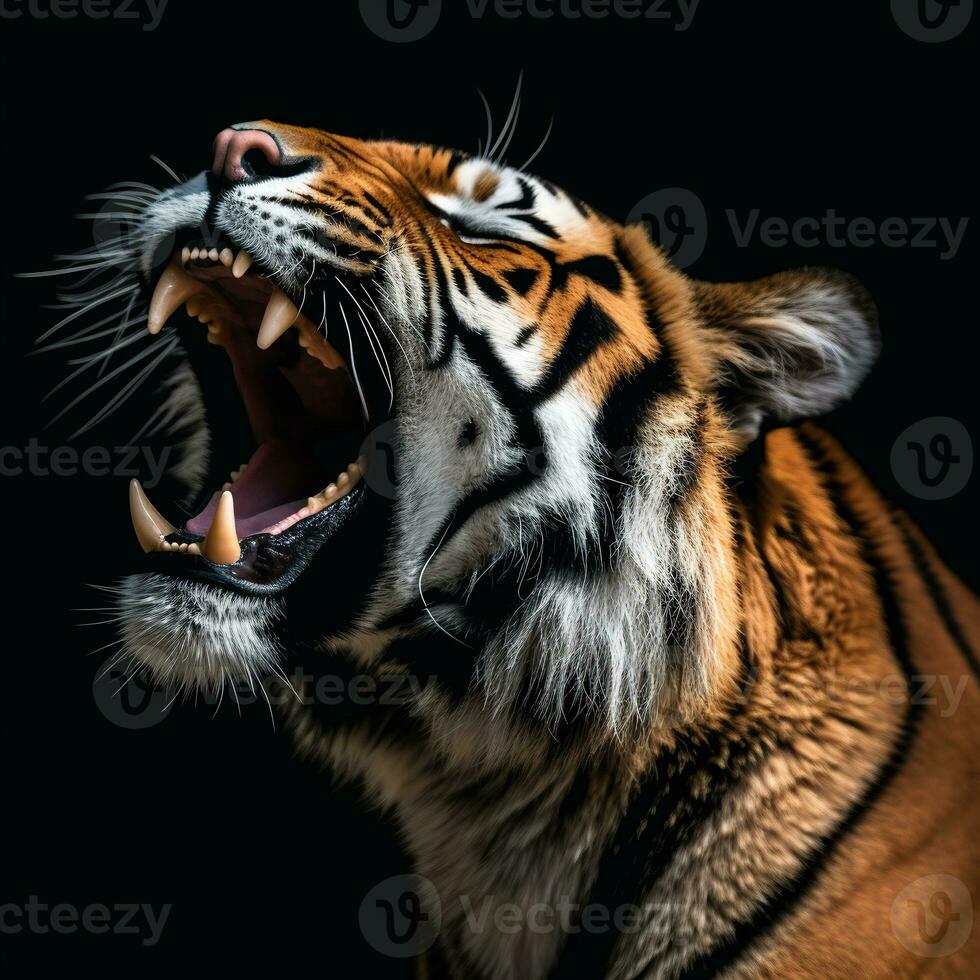 detalhado fechar acima retrato do rugindo tigre animal em Preto fundo, generativo ai foto