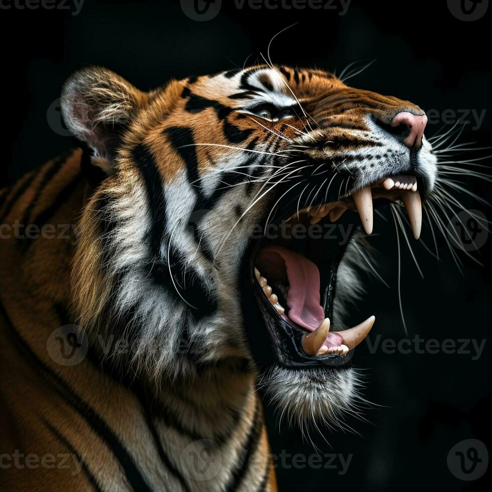 detalhado fechar acima retrato do rugindo tigre animal em Preto fundo, generativo ai foto