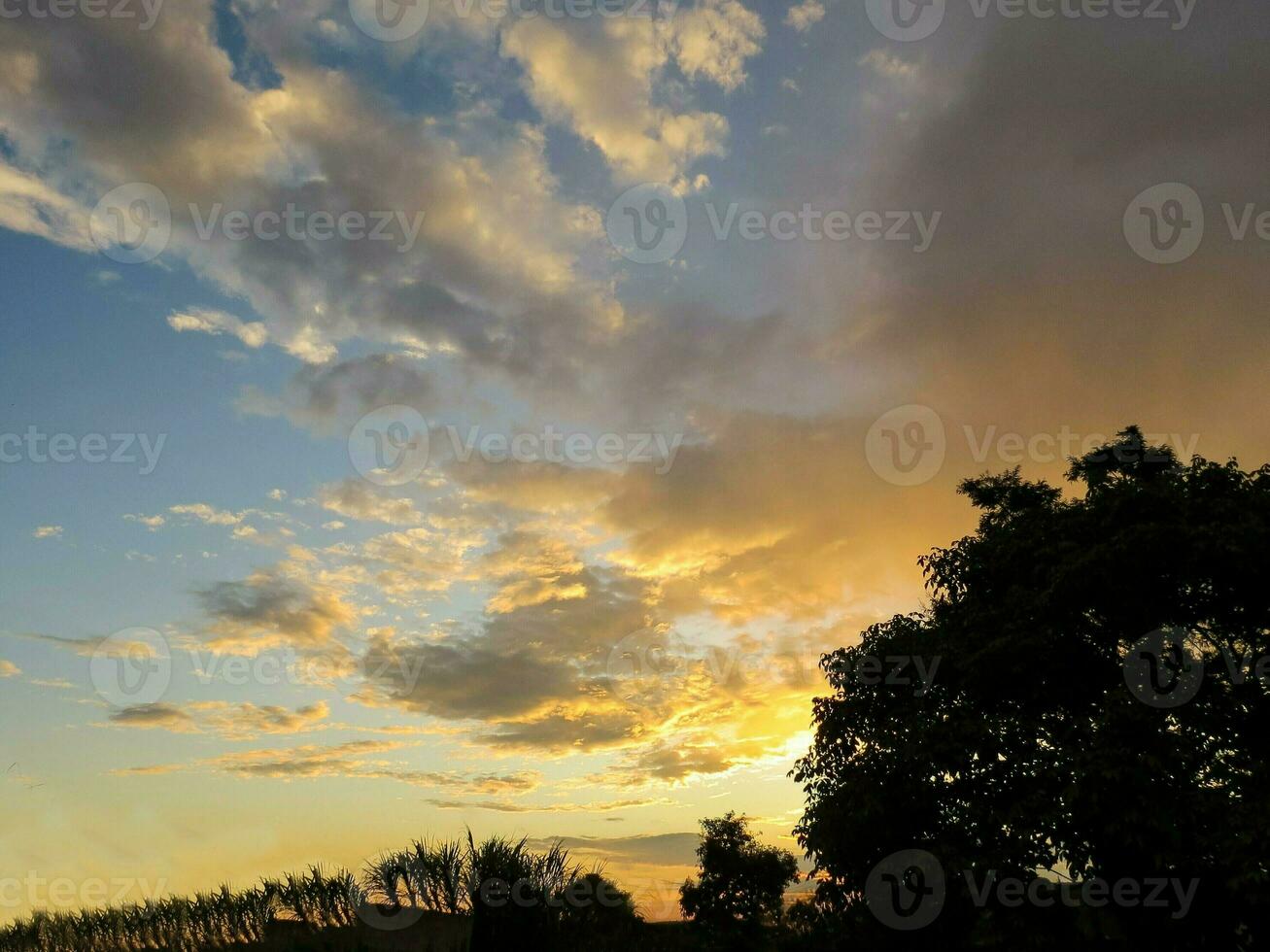 pôr do sol Visão com dourado nuvens e madeiras dentro silhueta. foto