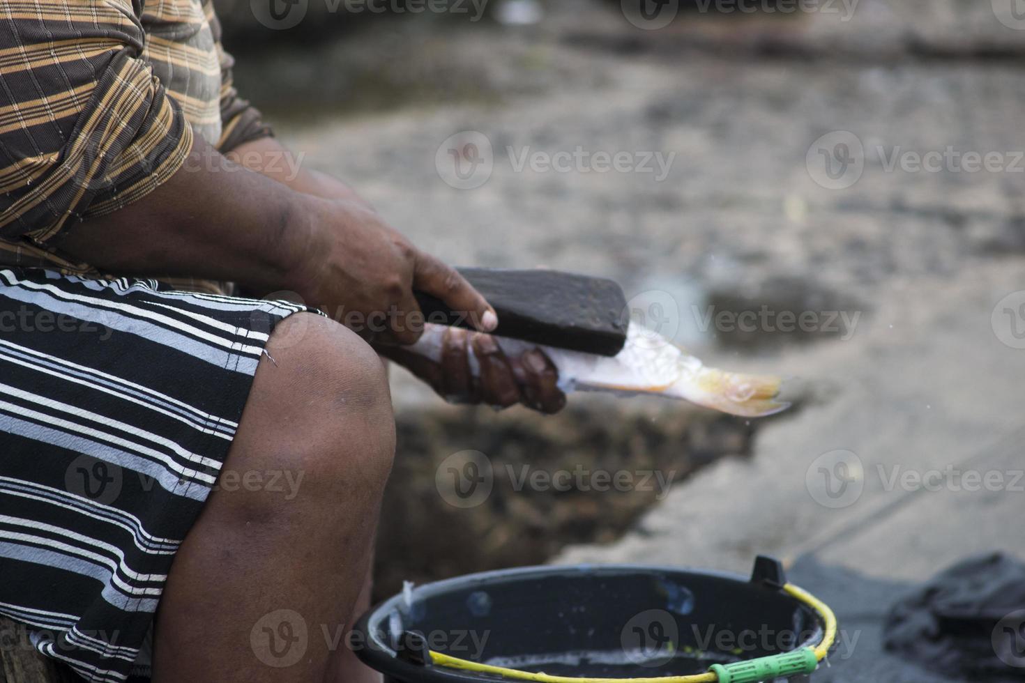 os frutos do mar variados vendidos no mercado de peixes foto