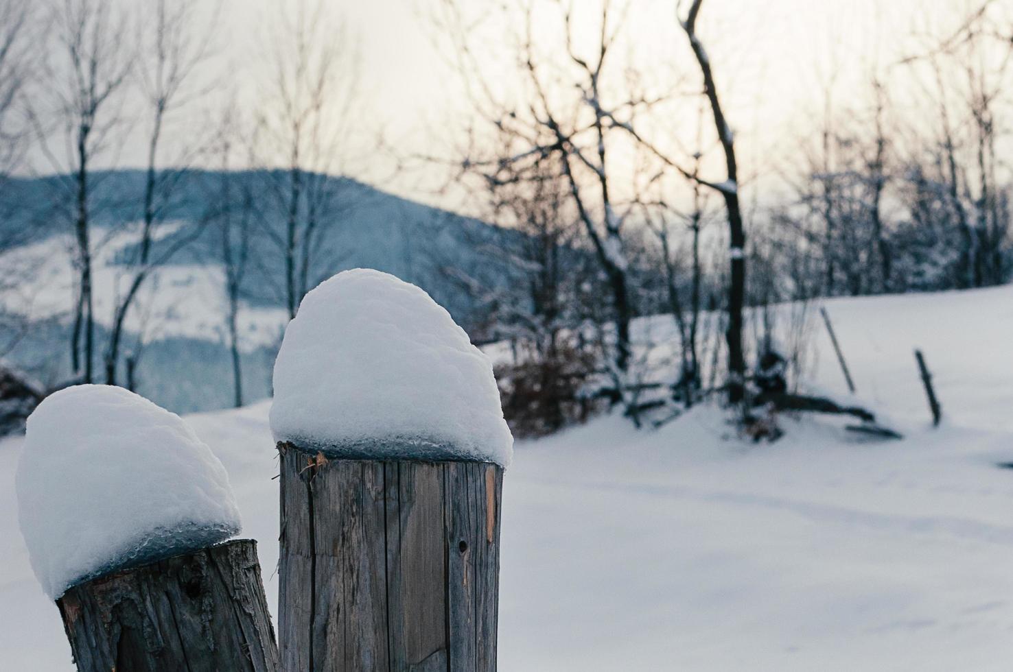 cerca coberta de neve vigas de inverno montanha landsacpe foto