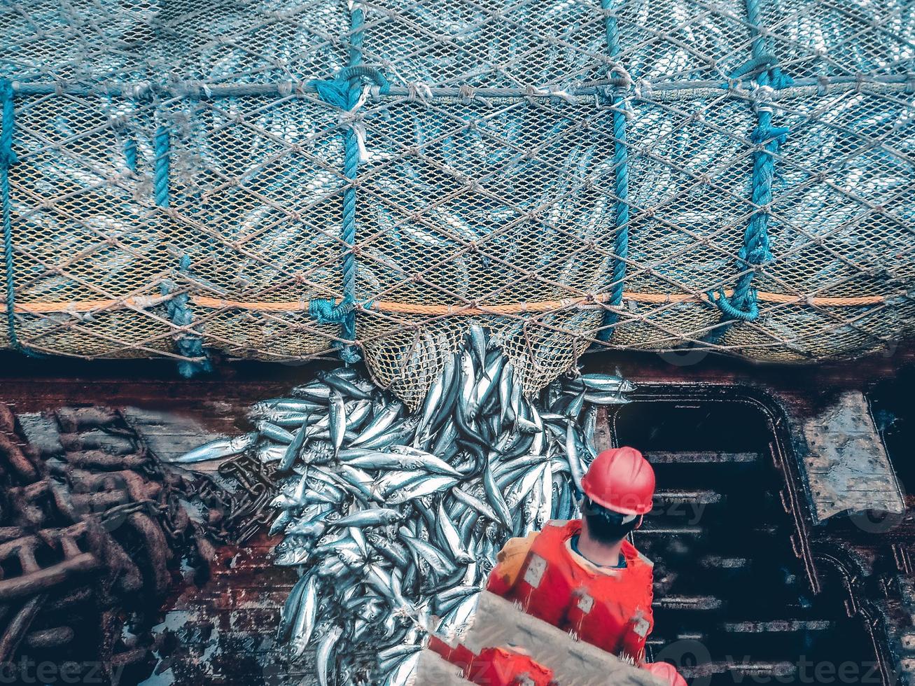 pesca com rede de arrasto foto