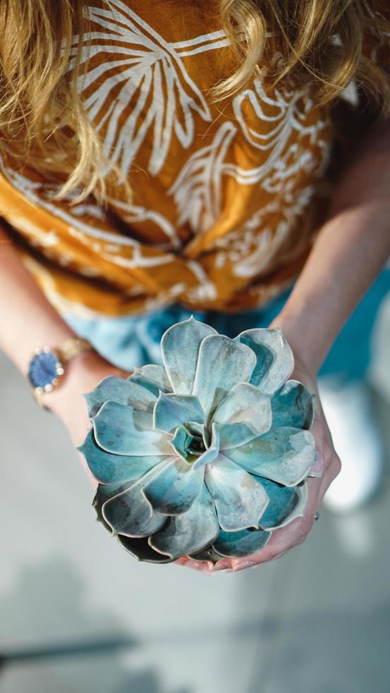 perto das mãos da mulher segurando uma flor no pote foto