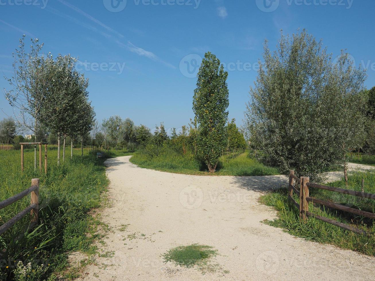 Parque Berlinguer em Settimo Torinese foto