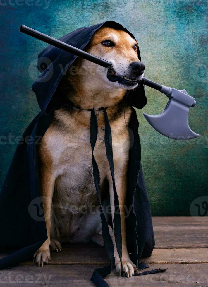 cachorro vestido dentro uma Preto capa com uma de capuz e a machado dentro dele boca foto