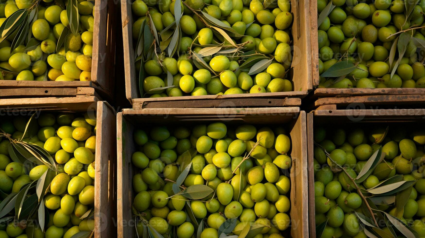 recentemente escolhido Oliva fruta a partir de jardim colocada dentro a caixas. generativo ai foto