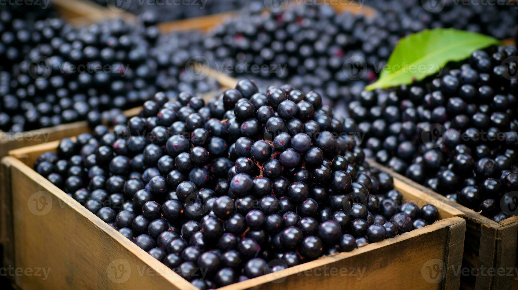 recentemente escolhido Açaí baga fruta a partir de jardim colocada dentro a caixas. generativo ai foto