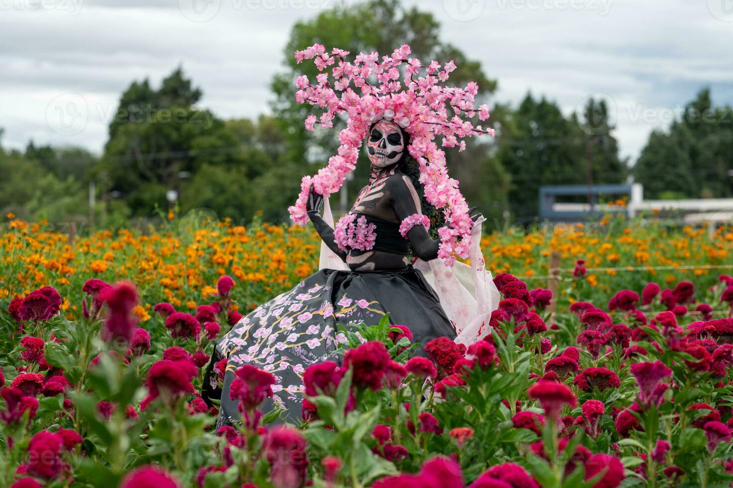 glorioso elegância dentro a coração do cholula cempasuchil Campos uma hipnotizante dia do a morto sessão de fotos, apresentando uma deslumbrante mulher transformado para dentro uma catrina, pagando para a tradição do morrer de muertos foto