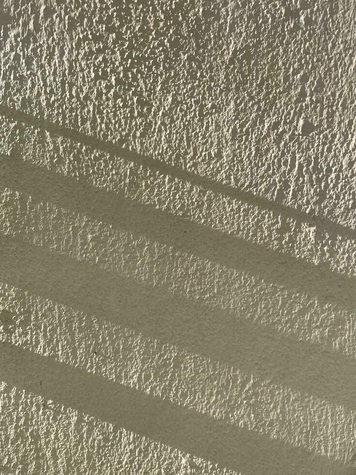folhas sombra fundo em concreto parede textura, folhas árvore galhos sombra com luz solar foto