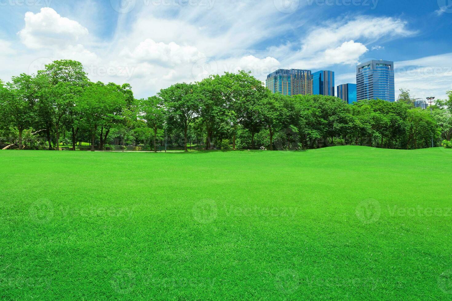 dentro cidade parques, gramados foto