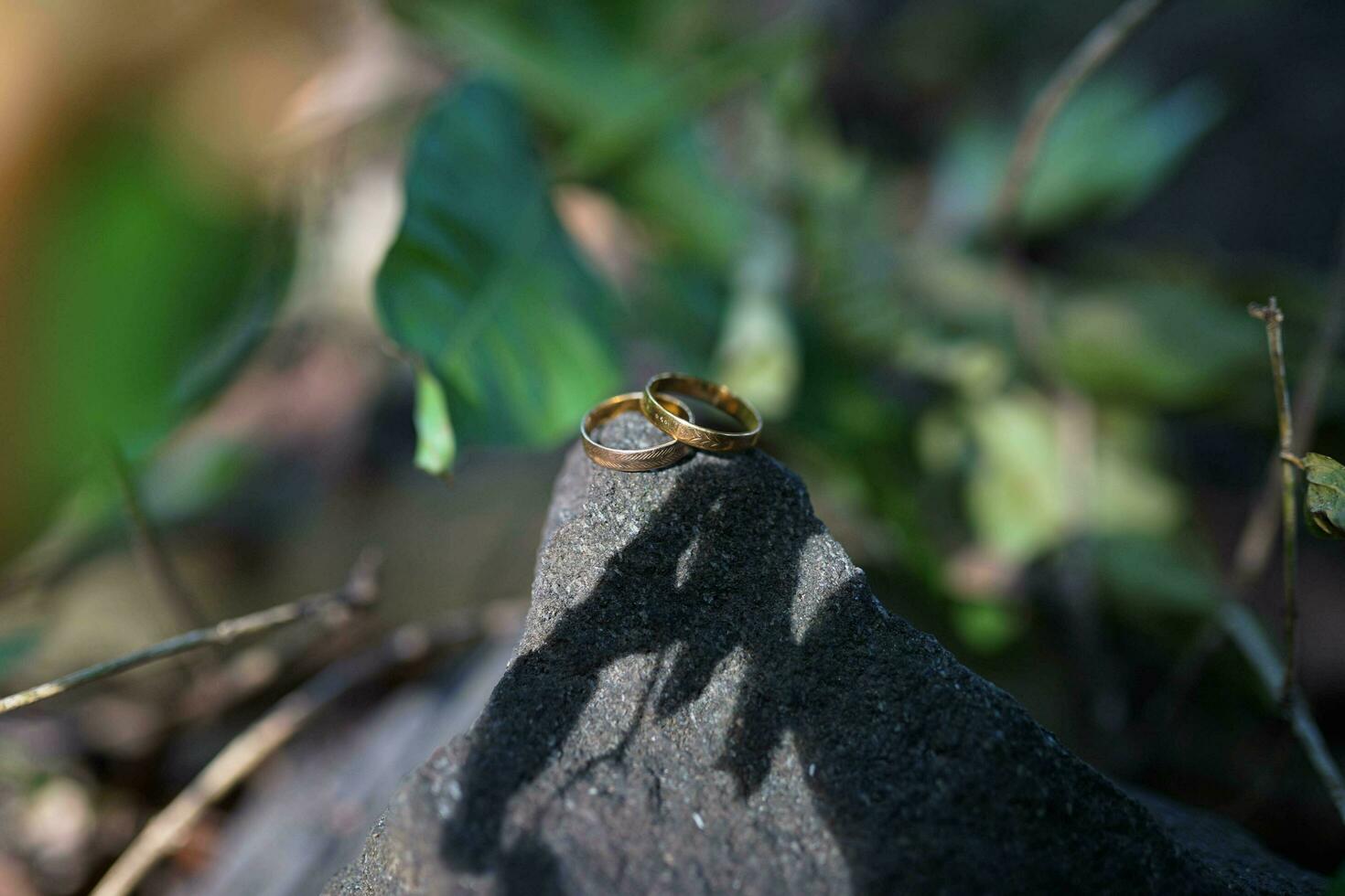 Casamento anel em pedra dentro a manhã dentro a floresta foto