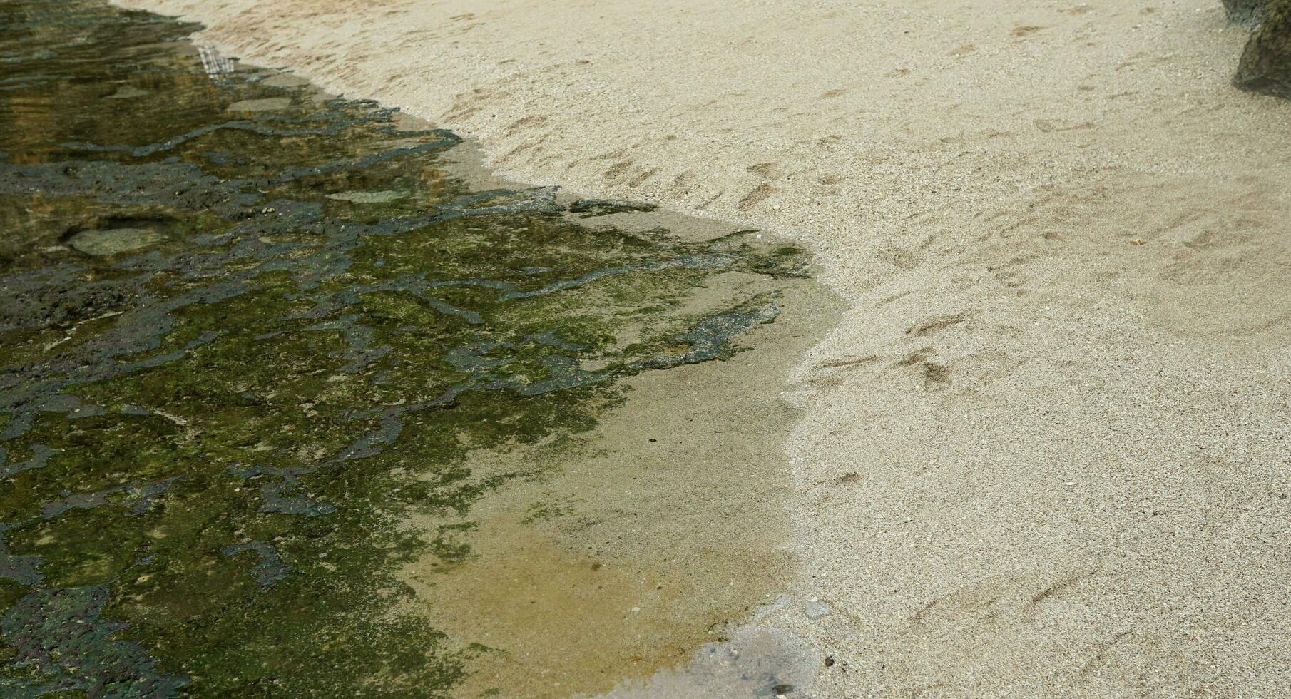 fechar-se tomada. de praia areia e coral montanhas dentro a fundo. foto