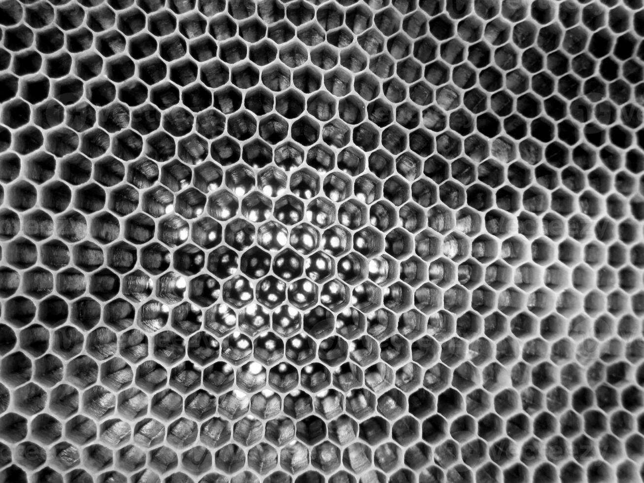 A estrutura abstrata do hexágono é um favo de mel de colmeia foto