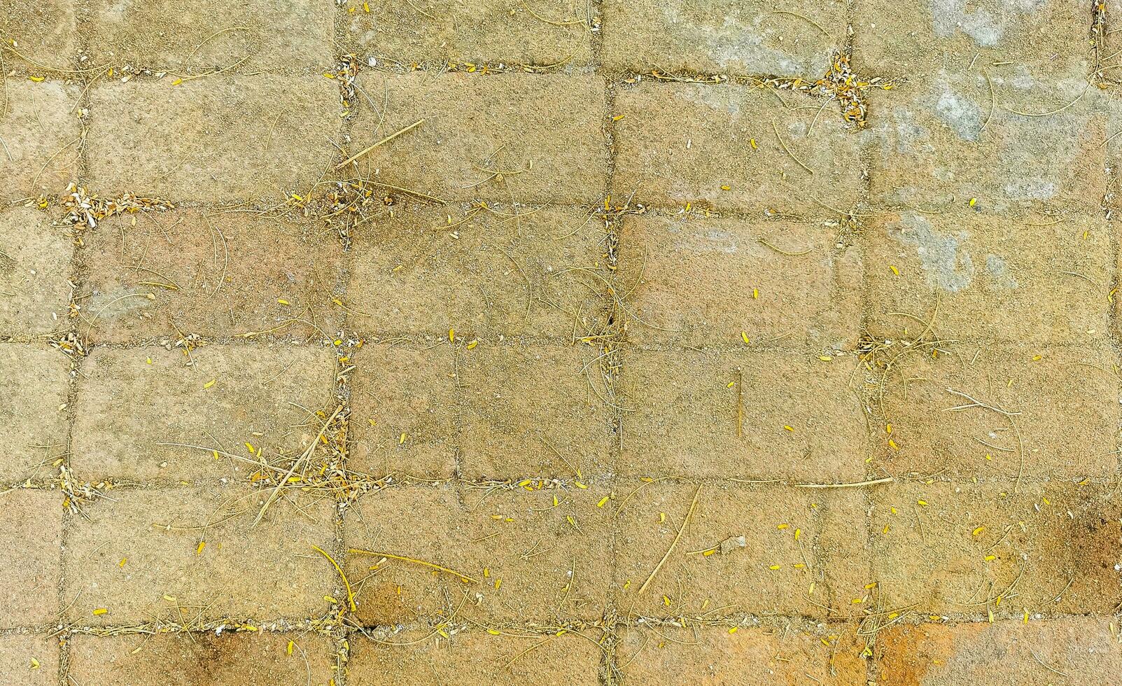 textura detalhe do parede com pedras pedras tijolo tijolos México. foto