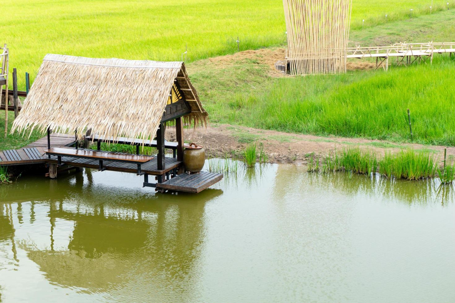 pavilhão de madeira no campo de arroz. Marco de Ayutthaya na Tailândia. foto