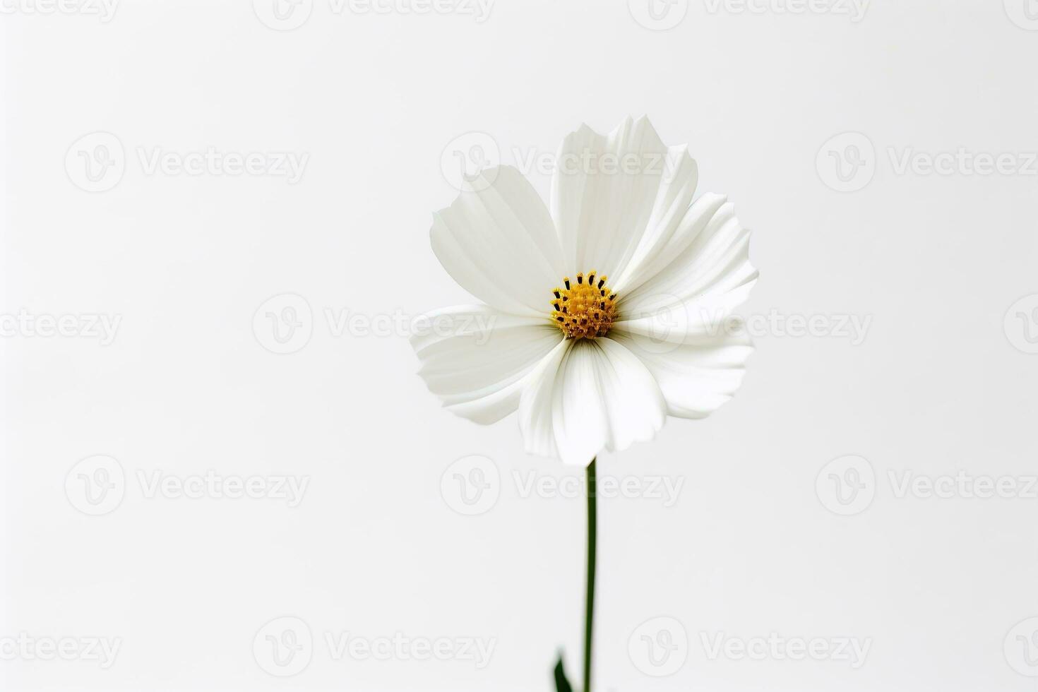 uma solteiro branco flor em uma avião fundo generativo ai foto