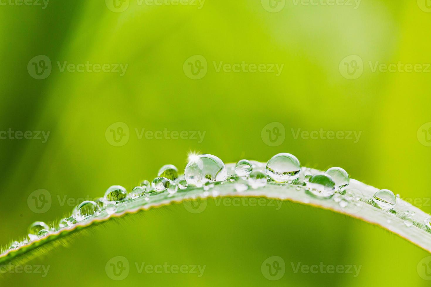 gotas de água na grama foto