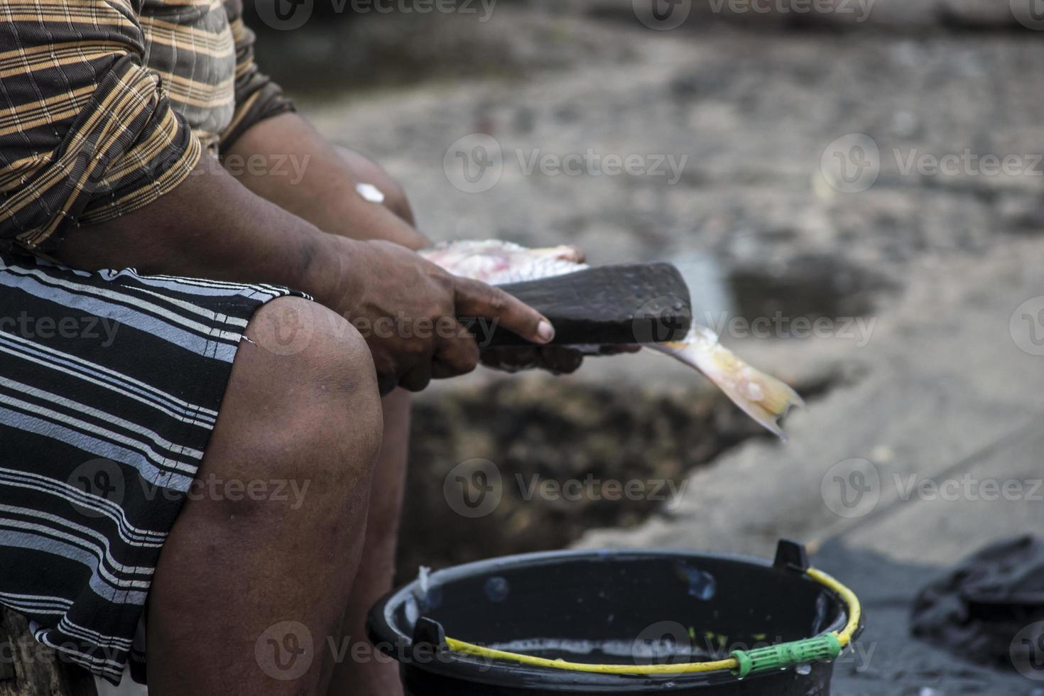 os frutos do mar variados vendidos no mercado de peixes foto