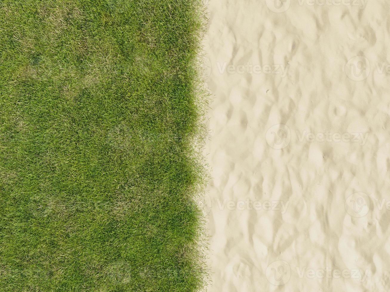 areia da praia e grama verde foto
