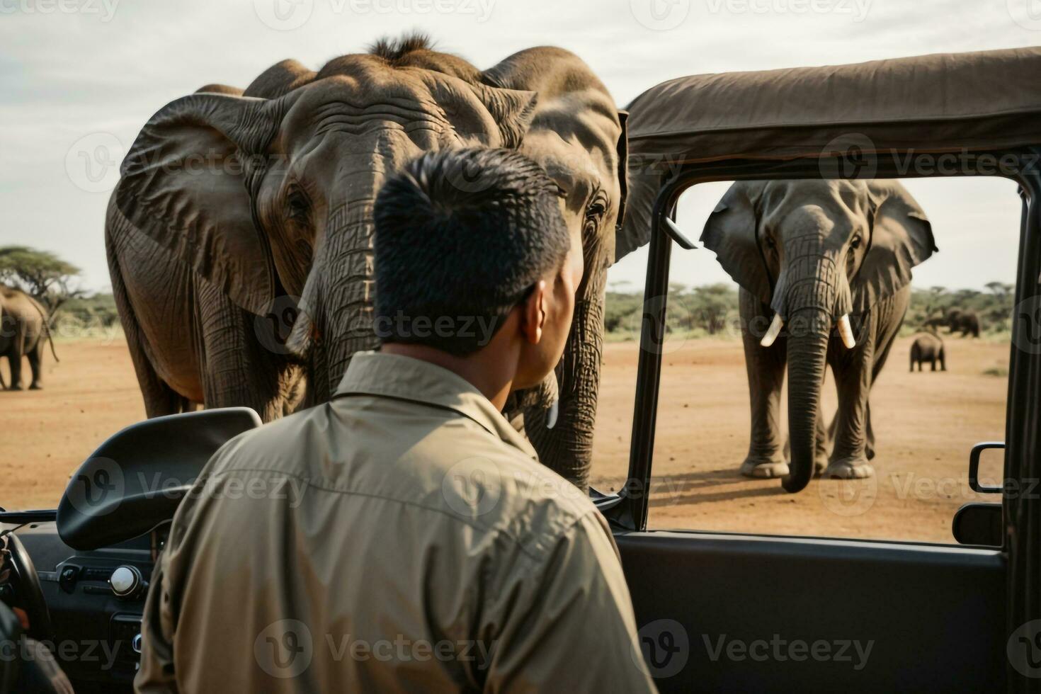 elefante papel de parede, elefante hd ,elefante imagens baixar ai gerado foto