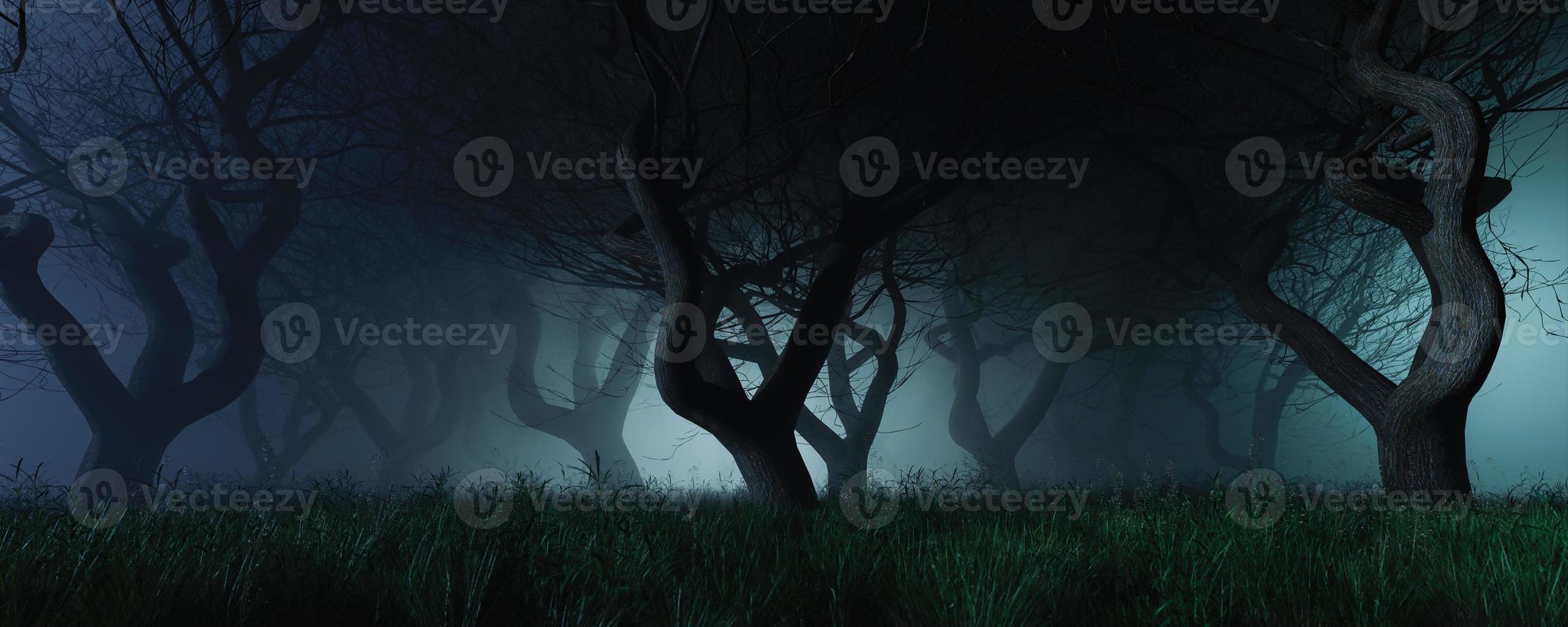 fundo sombrio de uma floresta com nevoeiro foto