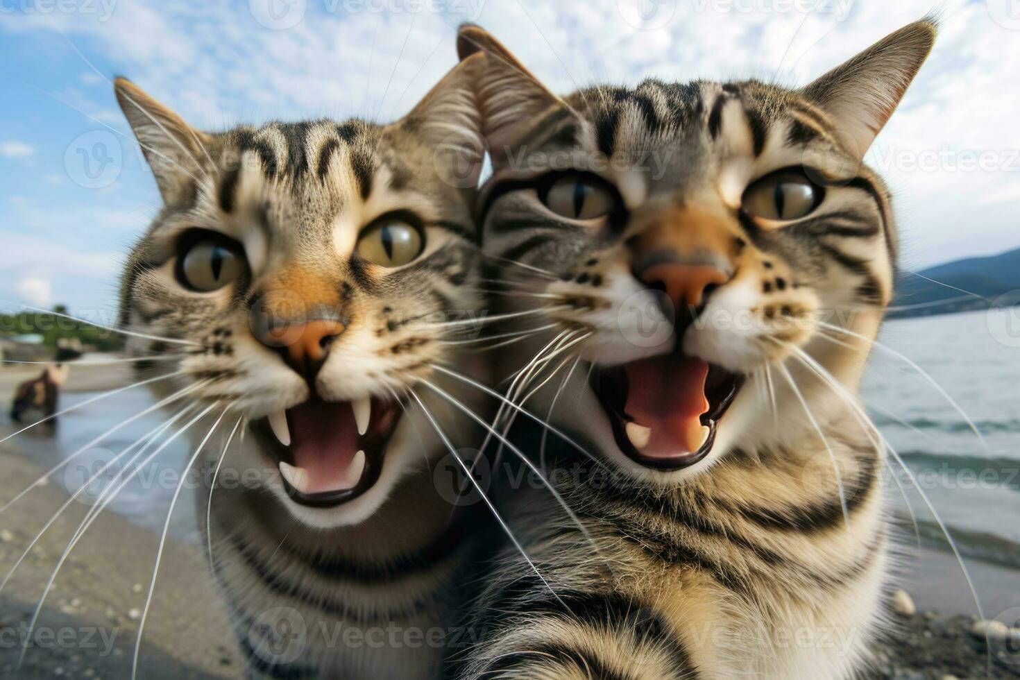 dois engraçado gatos levar uma selfie em a de praia. humor. criada usando artificial inteligência. foto