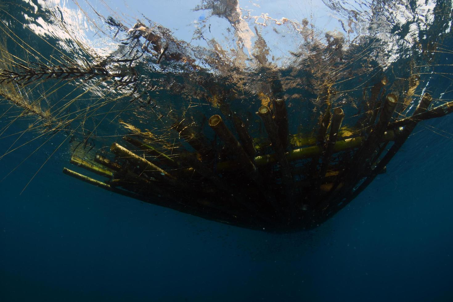 fundo subaquático, mar bali, indonésia foto