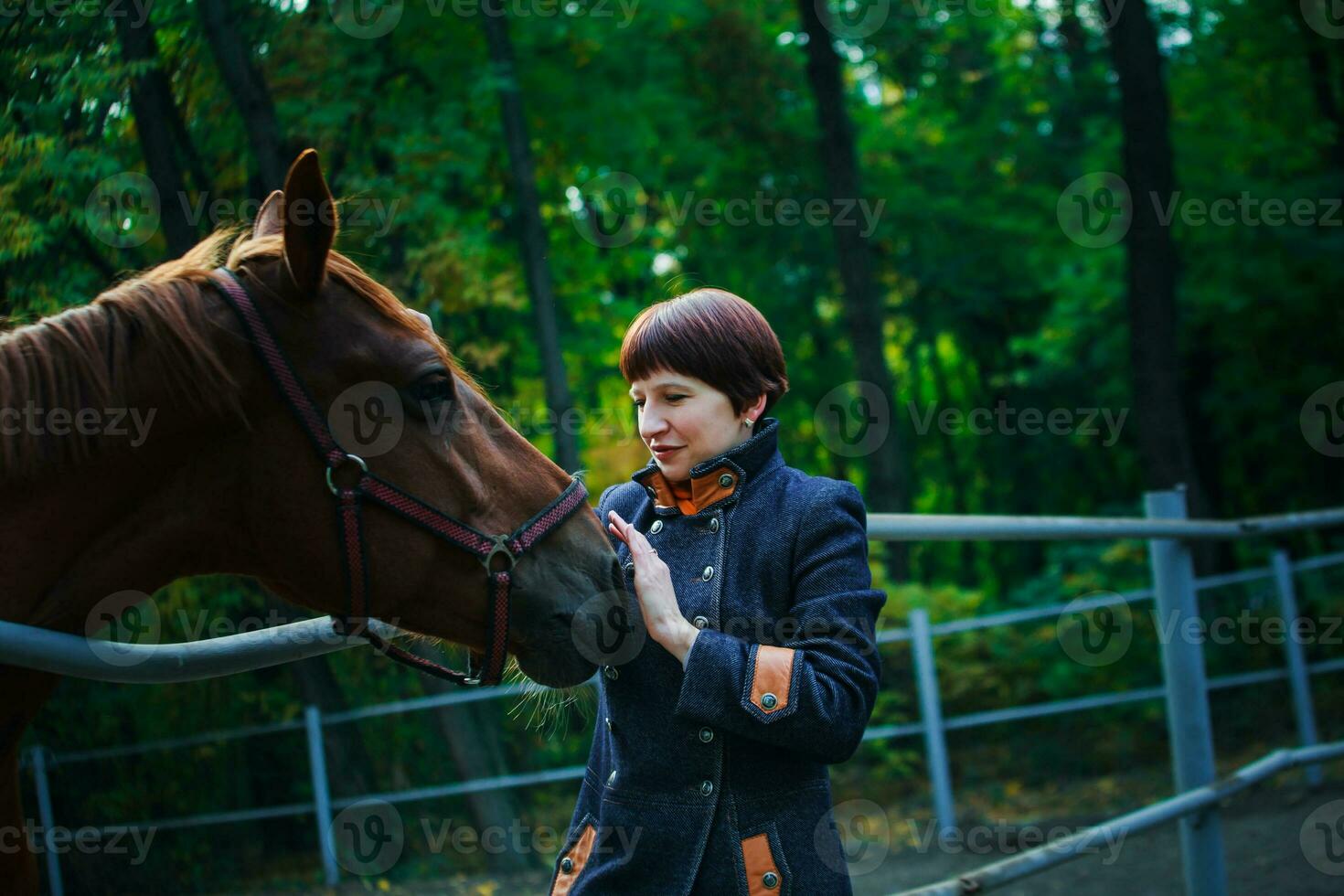 uma mulher dentro uma azul grandes casaco e com curto Sombrio Castanho cabelo estendido dela mão para acidente vascular encefálico a cavalo. a cavalo picado acima dele ouvidos. uma trem para cavalos contra a fundo do uma verde floresta. foto