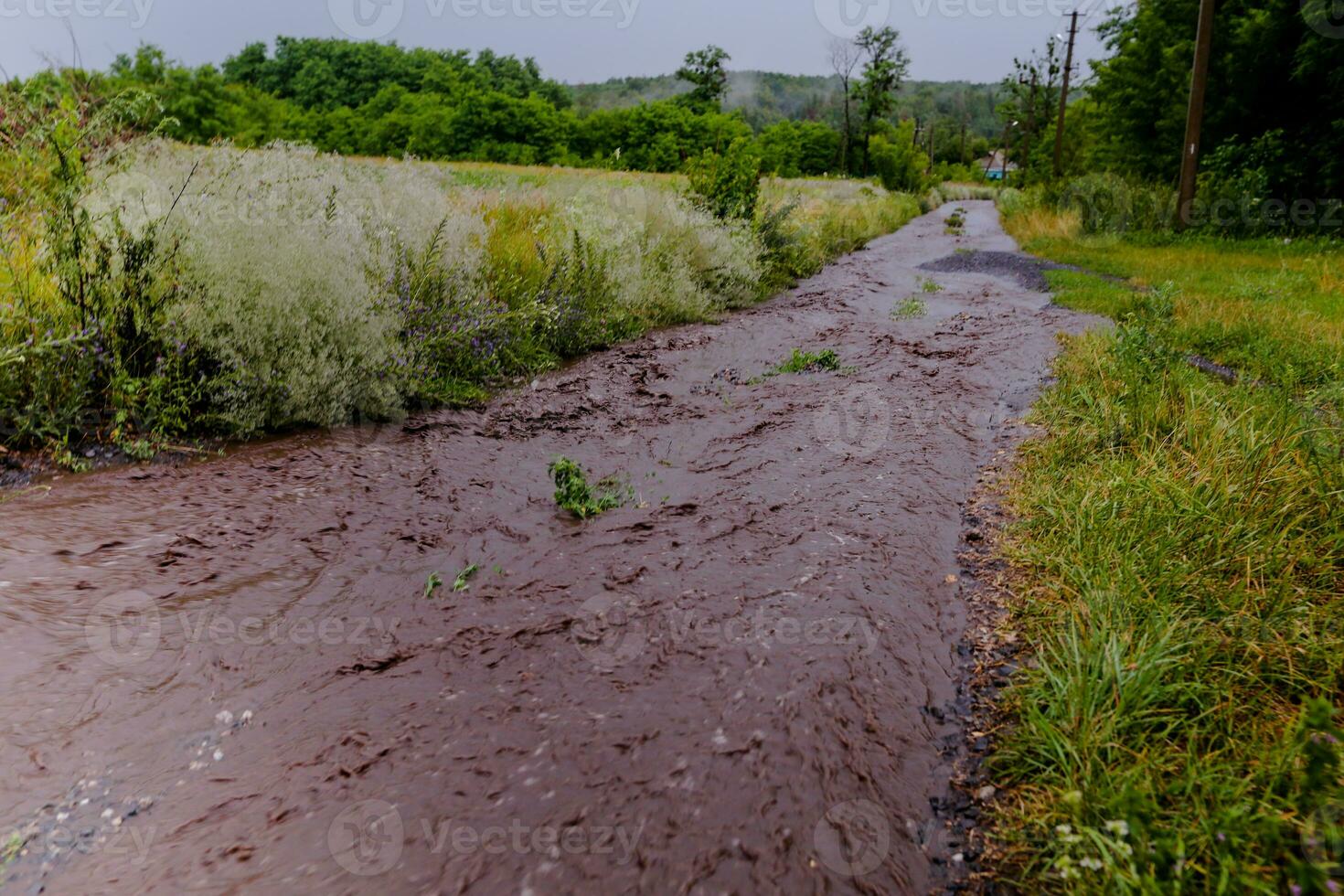 córregos do água fluindo ao longo a rural estrada. inundar depois de a chuva. foto