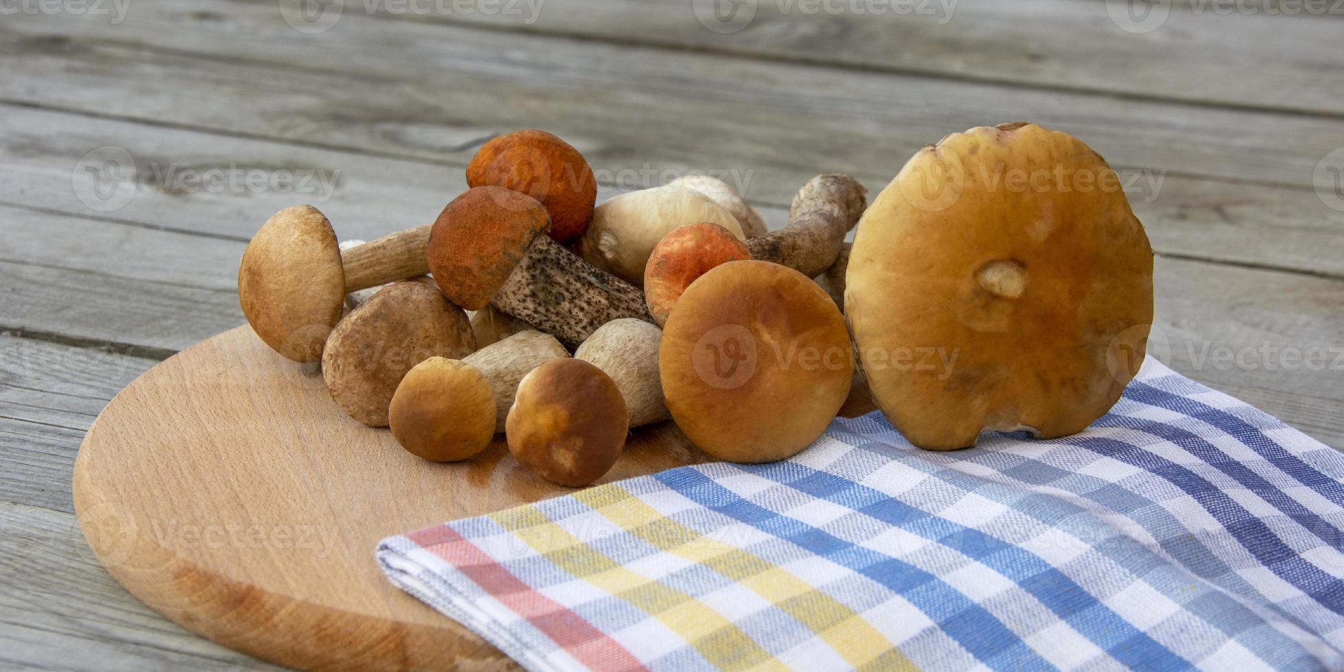 cogumelos porcini em uma placa de corte. cogumelos comestíveis foto