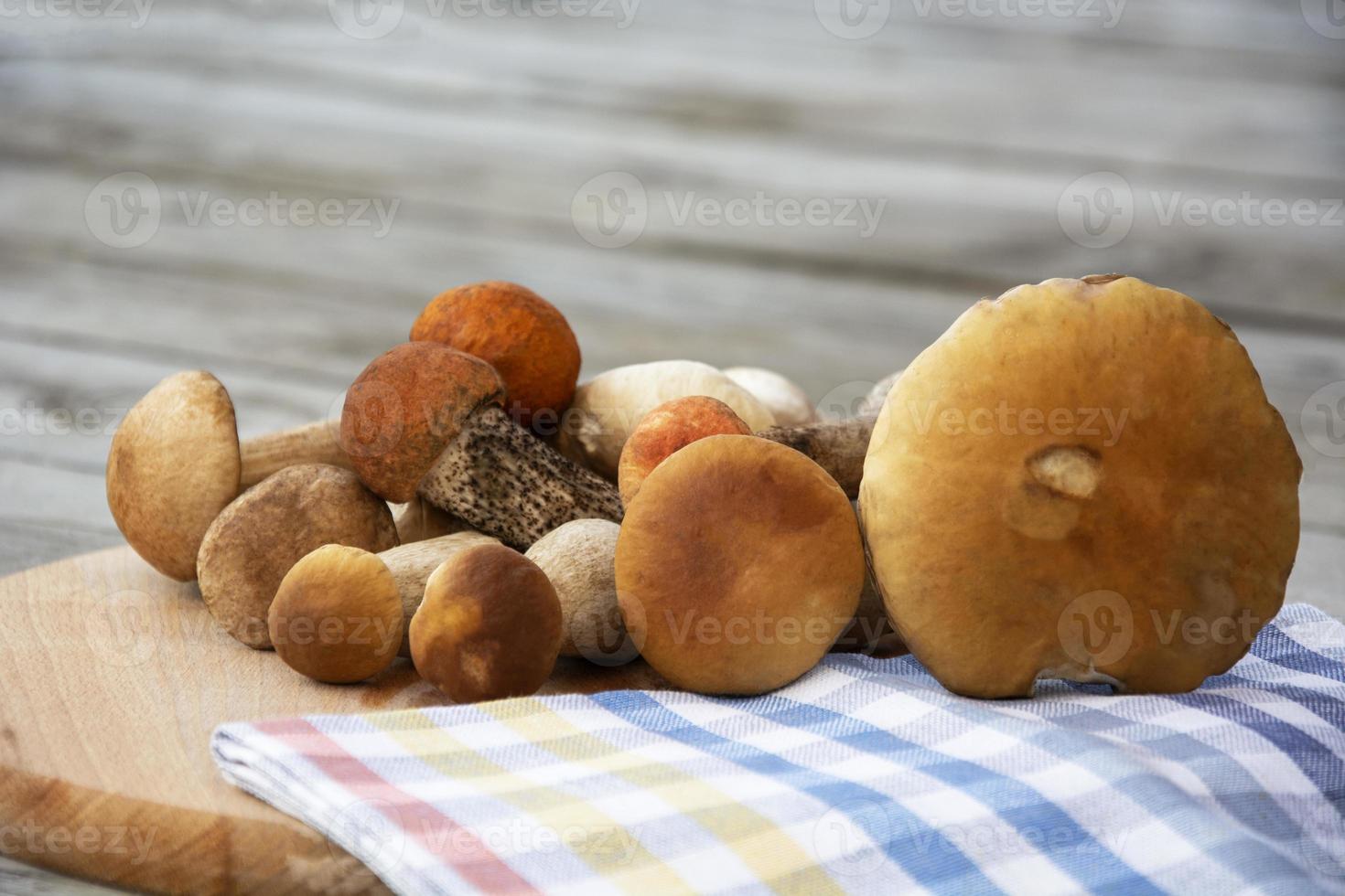 cogumelos porcini mentem sobre uma placa de corte. cogumelos comestíveis foto