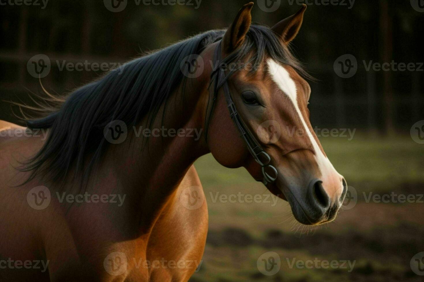 fechar acima cavalo em embaçado fundo. ai generativo pró foto