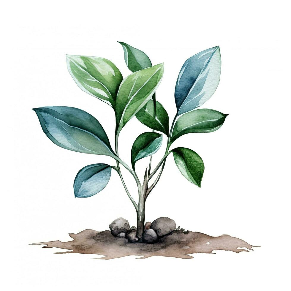 casa plantar dentro Panela, aguarela ilustração, isolado clipart em branco fundo, verde folhas, flor foto