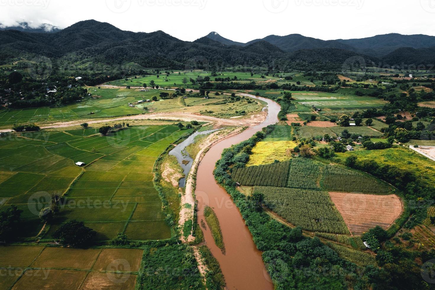 paisagem de campo de arroz em casca na Ásia, vista aérea de campos de arroz foto