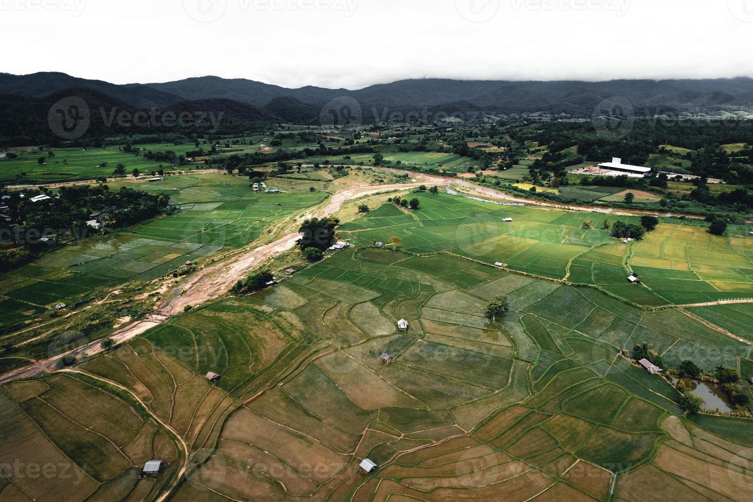 paisagem de campo de arroz em casca na Ásia, vista aérea de campos de arroz foto