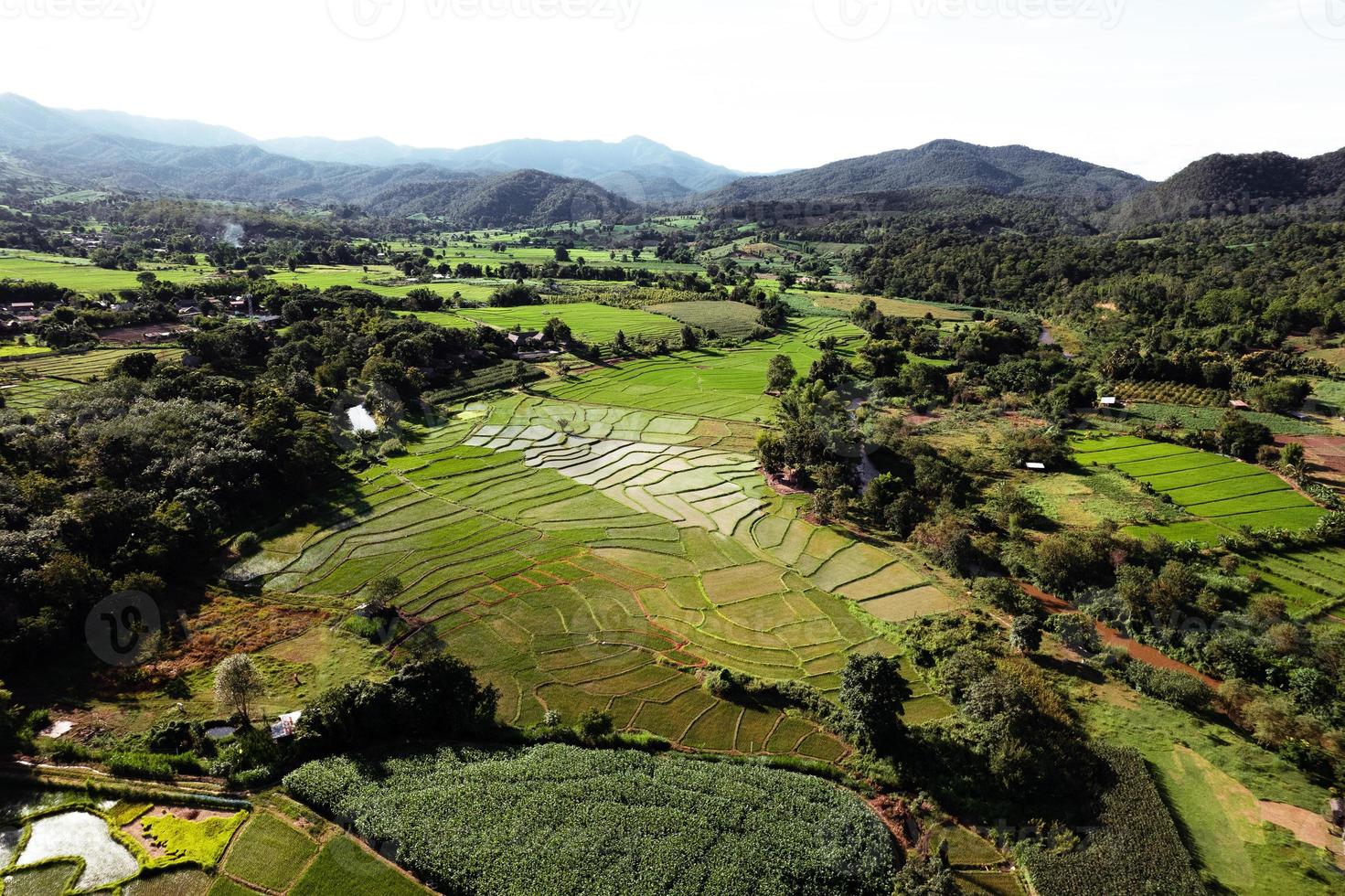 paisagem de campo de arroz em casca na Ásia, vista aérea de campos de arroz foto