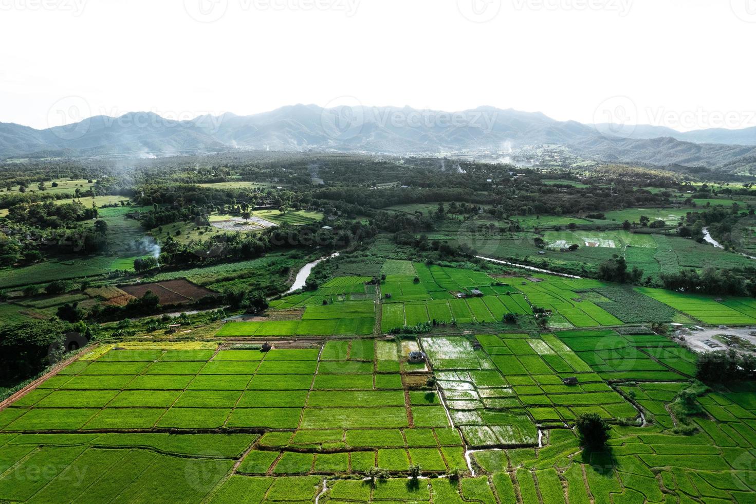 paisagem de campo de arroz em casca na Ásia, vista aérea de campos de arroz foto