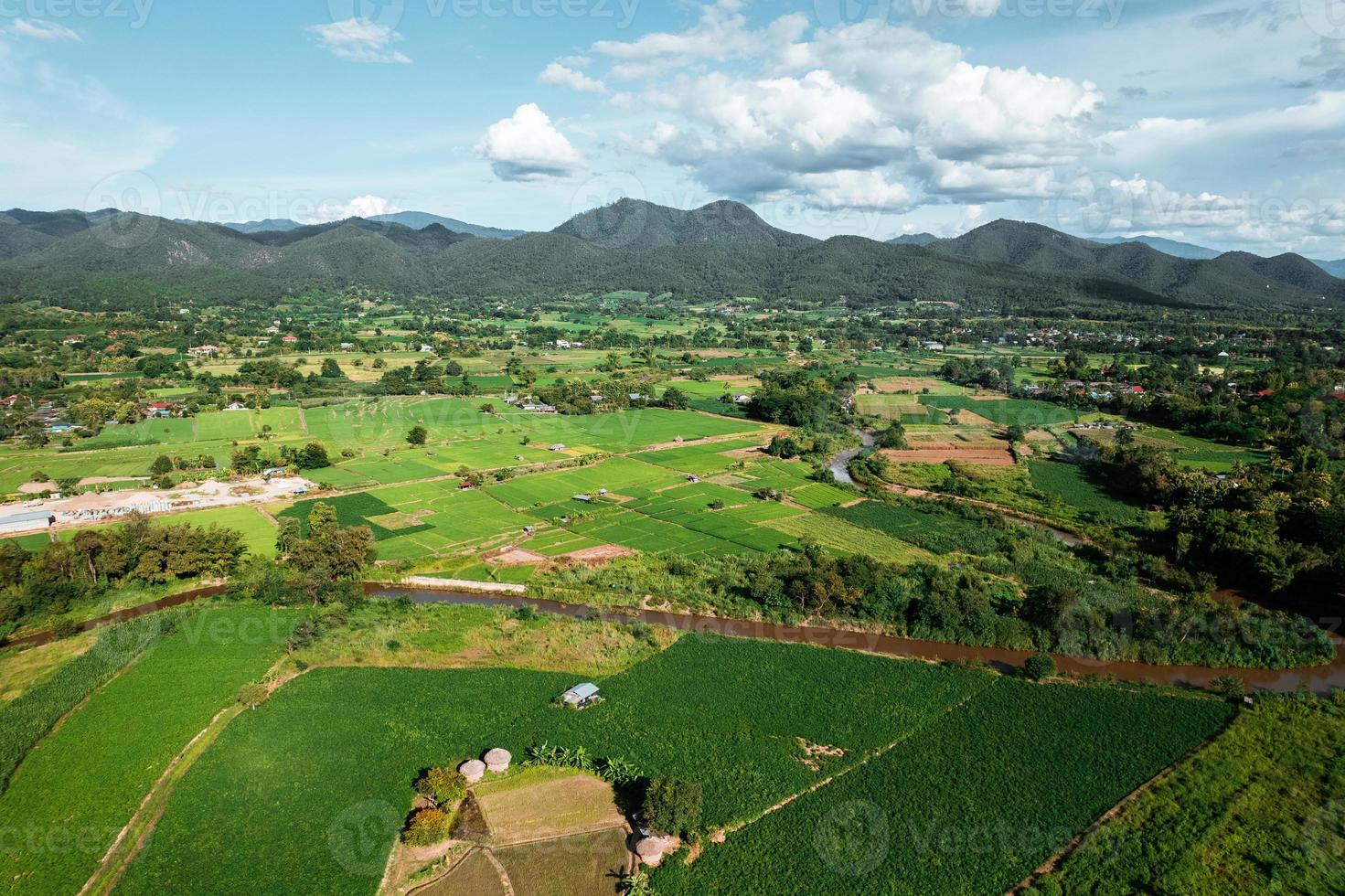 paisagem de campo de arroz em casca na Ásia, vista aérea de campos de arroz foto